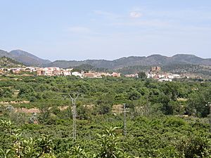 VGeneral Castellnovo
