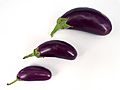 3 x Small Japanese eggplant 2017 A