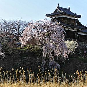 Koriyama Castle Nara-b