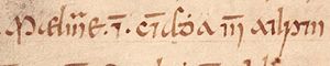 Máel Muire ingen Cináeda (Oxford Bodleian Library MS Rawlinson B 489, folio 28v)