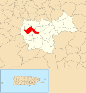 Location of Matón Arriba within the municipality of Cayey shown in red