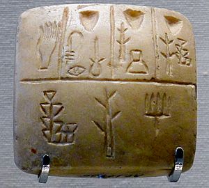 P1150884 Louvre Uruk III tablette écriture précunéiforme AO19936 rwk