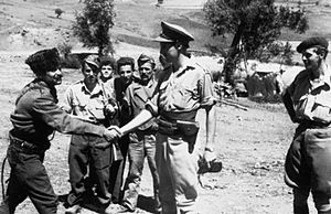 Service of Major David Smiley With the Special Operations Executive (soe) in Albania, 1943 - 1944. HU65147