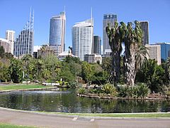 Sydney Royal Botanic Gardens 01