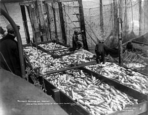 Tlingit salmon trap 1907 cph.3b19452