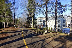 Alewife Linear Park - Cambridge, Massachusetts - DSC09185