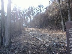 Cobblestone Path 2