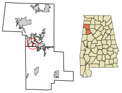 Location in Marion and Fayette counties, Alabama
