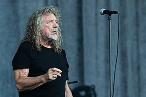 Festival des Vieilles Charrues 2018 - Robert Plant - 023
