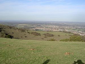 From Butts Brow, looking down to Willingdon - geograph.org.uk - 523498.jpg