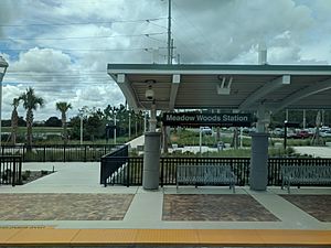 Meadow Woods Station (44325026034)