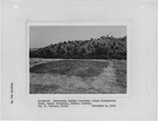 Photograph "Rancheria Indian Cemetery below Pincushion Peak, Table Mountain, Fresno County," from report "History of... - NARA - 296225