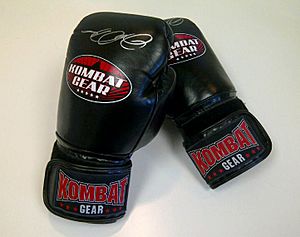 Sports Model John Quinlan Autographed Muay Thai Boxing Gloves