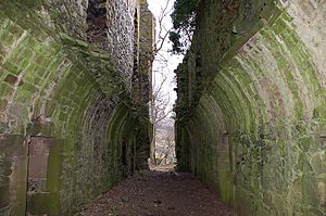 Arched passageway, Drochil Castle (2) - geograph.org.uk - 1703483