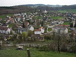 BirmensdorfZH02