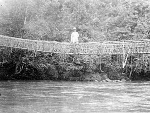 COLLECTIE TROPENMUSEUM Een Europeaan staat op een rotanbrug in het Mamasa-gebied Toradjalanden Celebes TMnr 10007591