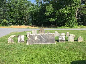 Indian Mound Cemetery Romney WV 2015 06 08 42