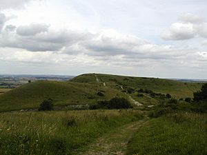 Ivinghoe Beacon from Steps Hill - geograph.org.uk - 521892.jpg