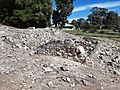 Peelhurst ruins, Golden Bay, September 2020 03