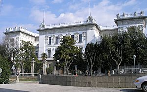 Pula University
