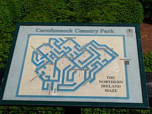 The 'Northern Ireland Maze', Carnfunnock Country Park (detail) - geograph.org.uk - 797992