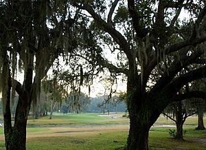 View of Babe Zaharias golf course - Tampa