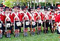 Vitoria - Recreación histórica de la Batalla de Vitoria, bicentenario 1813-2013 021