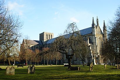 Winchester Cathedral - geograph.org.uk - 1736947
