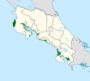 Amazilia boucardi map.svg