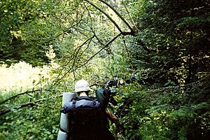 Backpacking in polish carpathians cm01
