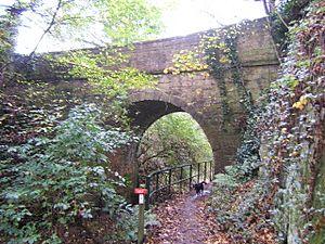 Bridge over Barnsley Canal