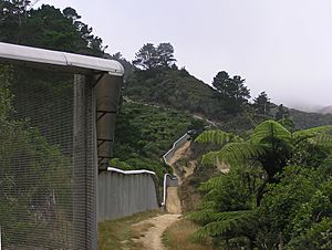 Karori Wildlife Sanctuary Fence 02