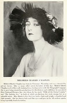 Mildred Harris Who's Who on the Screen