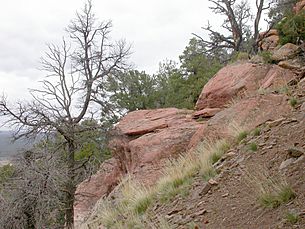 Moenkopi sandstone on Red Butte, Arizona 2004-10-19