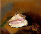 Redon.coquille
