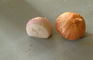 Shallots - sliced and whole