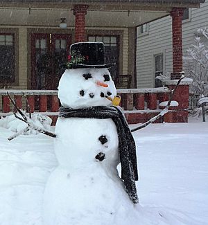 Snowman in Indiana 2014