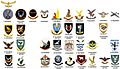 South African Air Force Flying Squadrons update