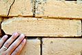 Stamped mud-brick with a cuneiform text, procession street, Babylon, Iraq