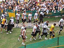 Steelerstrainingcamp
