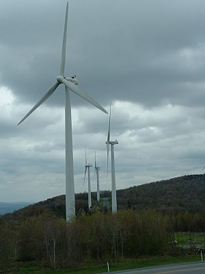 Tucker County (WV -- USA) Wind Farm