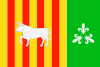Flag of Les Borges Blanques