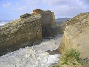 Cliff Oregon coast
