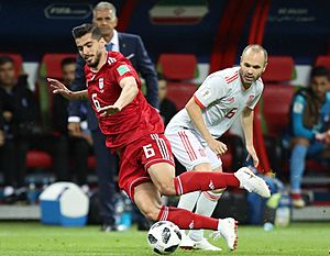 Iran and Spain match at the FIFA World Cup (11)