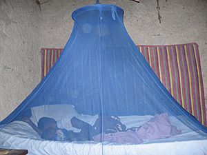 Malaria prevention-Insecticide treated bed net-PMI