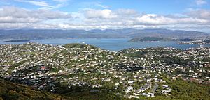 Ngaio, as seen from the hills above Ngaio.