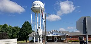 Prince's Lakes water tower and town hall