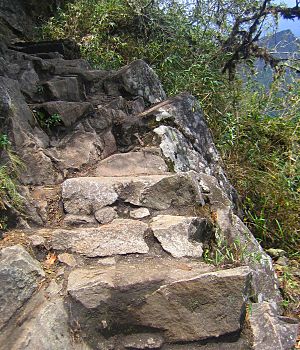 Steps to Huayna Picchu