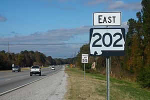 AL202 East Sign at US78 (45254417574).jpg