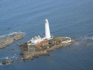 Aerial photo of St Mary's Island at high tide - geograph.org.uk - 654119
